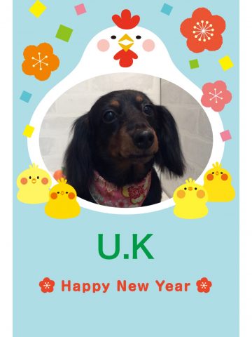 Mダックスフント