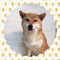 ハーブ湯&クイックコース