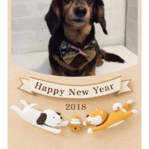 Mダックスフント