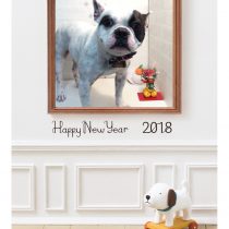 フレンチブルドッグ