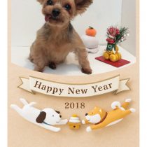 ヨークシャーテリア