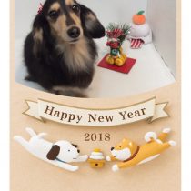 Mダックスフント