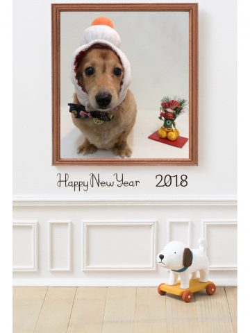 Mダックスフント