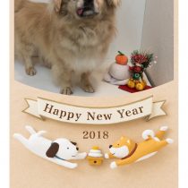 チベタンスパニエル