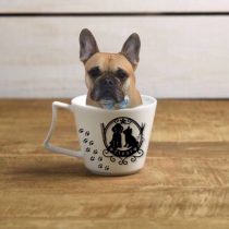 フレンチブルドッグ