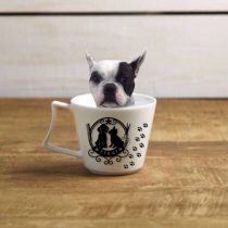 フレンチブルドッグ