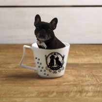 フレンチブルドッグ