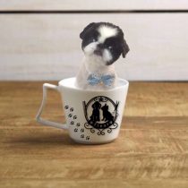 狆×ペキニーズMIX