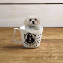 マルチーズ×ペキニーズmix