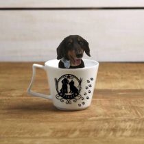 Mダックスフント