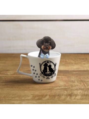 チワワ×トイプードルmix