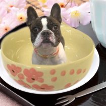 フレンチブルドッグ