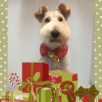 ワイヤーフォックステリア