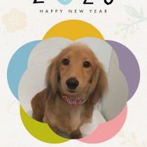 カニンヘンダックス