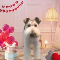 ワイヤーフォックス