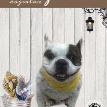 フレンチブルドッグ