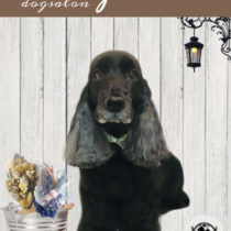 イングリッシュコッカースパニエル