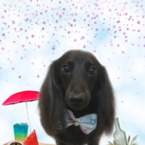 カニンヘンダックス