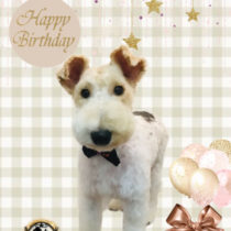 ワイヤーフォックステリア