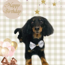 Mダックスフント