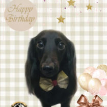 Mダックスフント