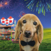 Mダックスフント