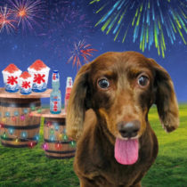 Mダックスフント