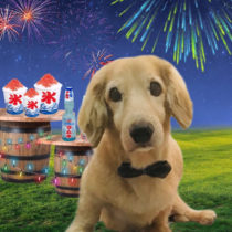 Mダックスフント