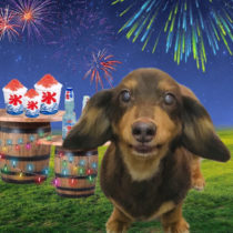 Mダックスフント