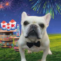 フレンチブルドッグ