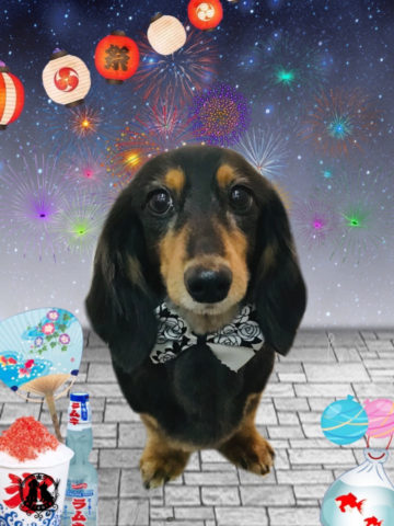 カニンヘンダックス