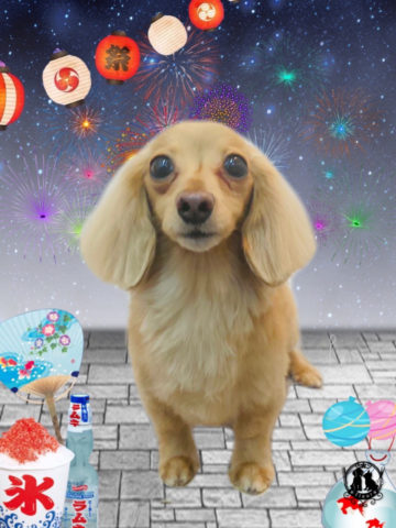 カニンヘンダックス