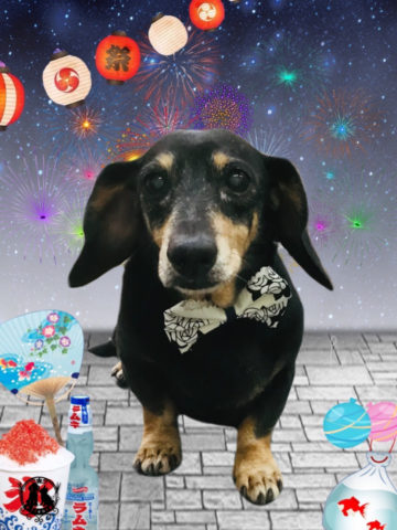 カニンヘンダックス