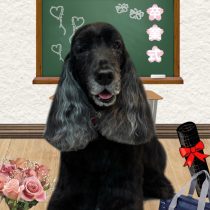 イングリッシュコッカースパニエル