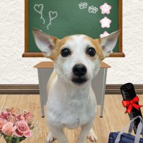 ジャックラッセルテリア