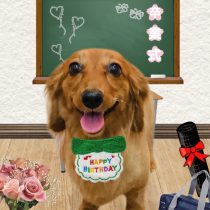 ミニチュアダックス