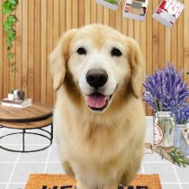 ゴールデンレトリバー