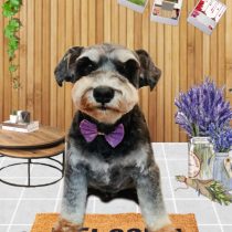 ミニチュアシュナウザー