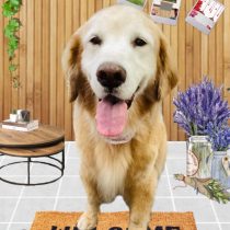 ゴールデンレトリバー