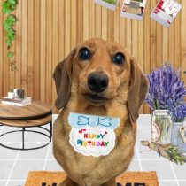 ミニチュアダックス