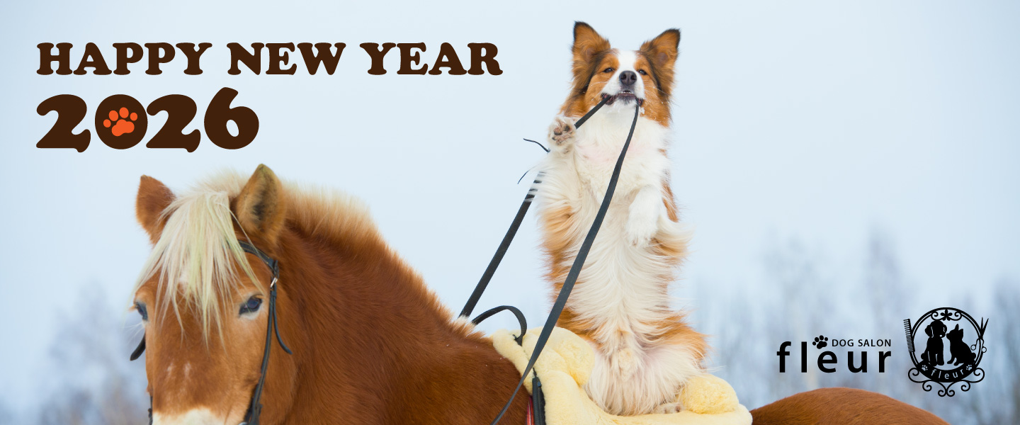 京都のドッグサロンフルールの新年イメージ（午年）-2026